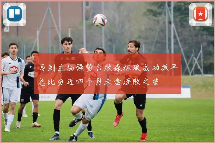 马刺主场强势击败森林狼成功扳平总比分近四个月未尝连败之苦