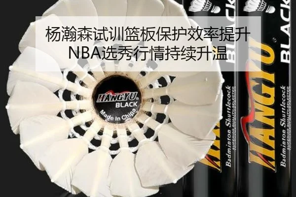 杨瀚森试训篮板保护效率提升 NBA选秀行情持续升温（MIBO）